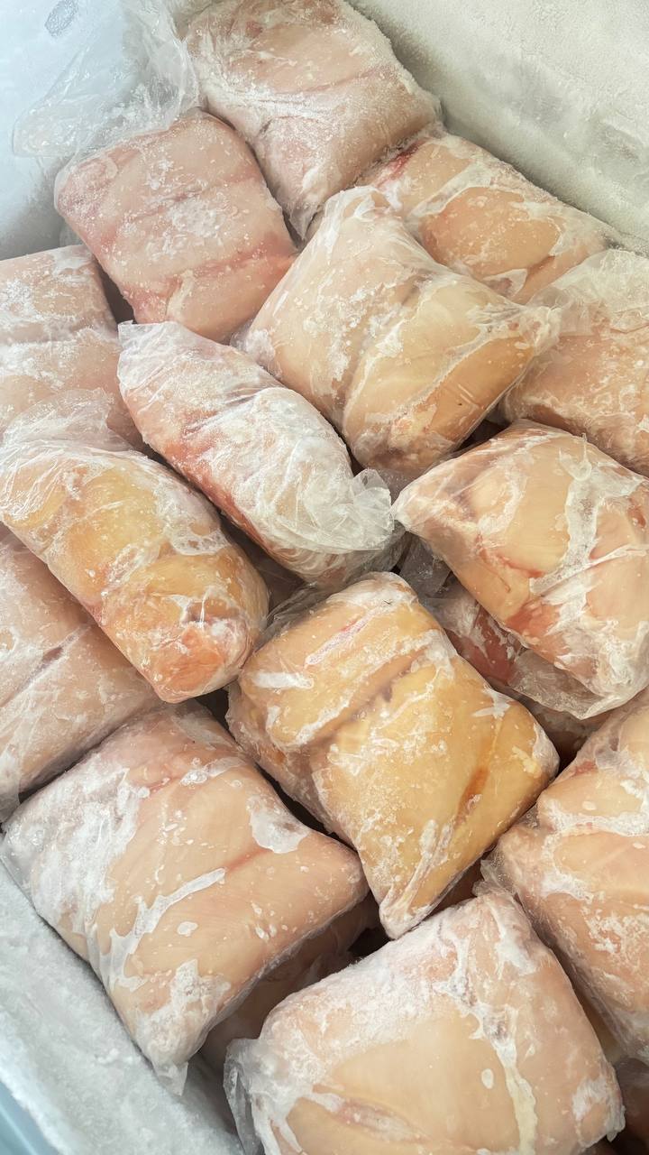 Kualitas Dada Ayam